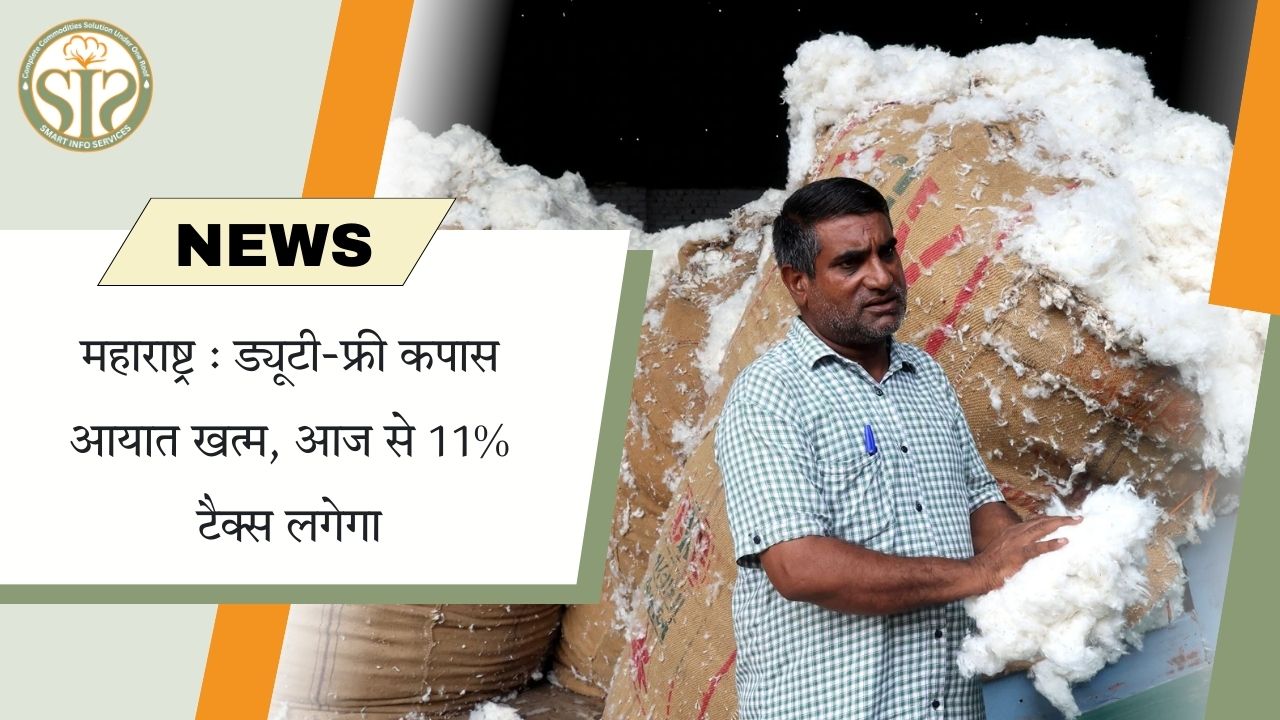 महाराष्ट्र : ड्यूटी-फ्री कपास आयात खत्म, आज से 11% टैक्स लगेगा