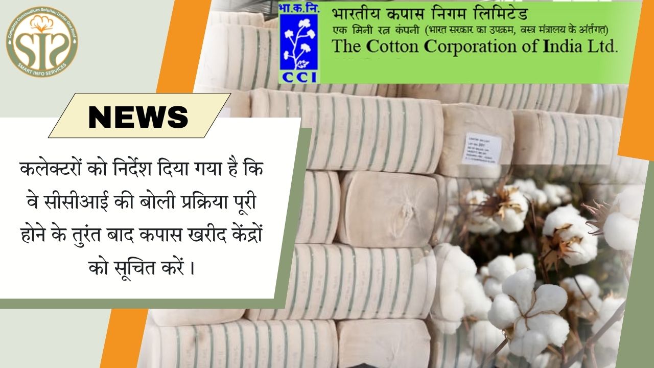 कलेक्टरों को कपास खरीद की सूचना देने के निर्देश