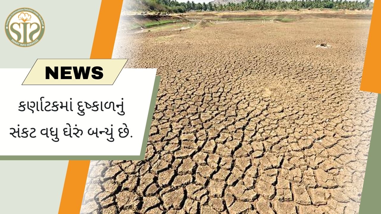 કર્ણાટકમાં દુષ્કાળનું સંકટ ઘેરાયું