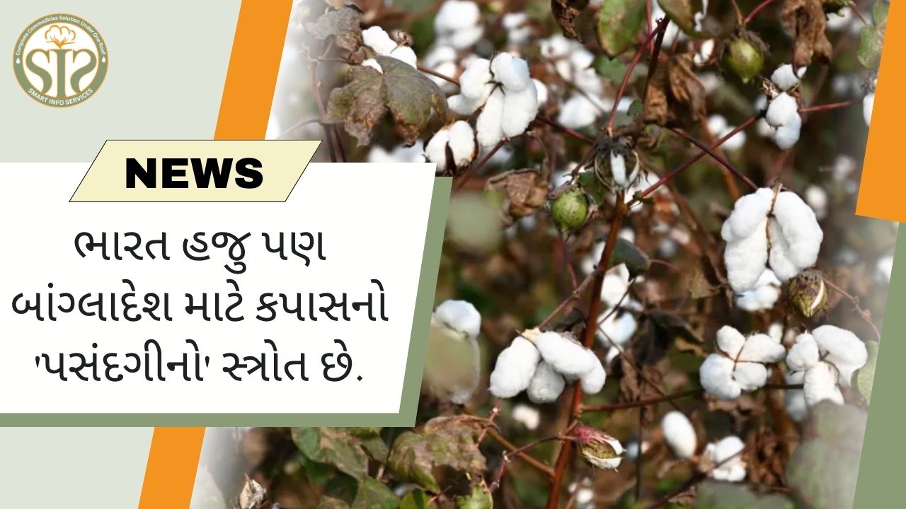 "ભારત: બાંગ્લાદેશને કપાસનો મુખ્ય સપ્લાયર"