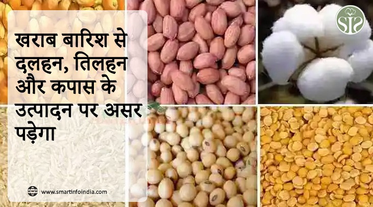 खराब बारिश से दलहन, तिलहन और कपास के उत्पादन पर असर पड़ेगा