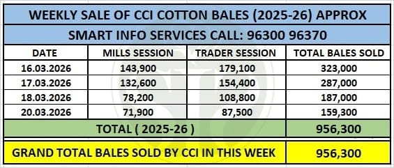 CCI hikes cotton prices by ₹1,200-₹1,400, weekly sales cross 7.97 lakh bales
