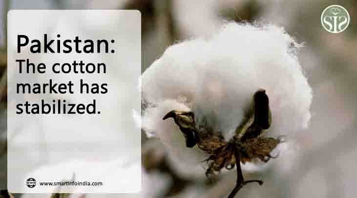 Pakistan: The cotton market remains stable.