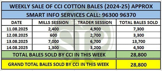 CCI એ 2024-25 ના કપાસના સ્ટોકનો 71% થી વધુ હિસ્સો ઈ-બિડિંગ દ્વારા વેચ્યો
