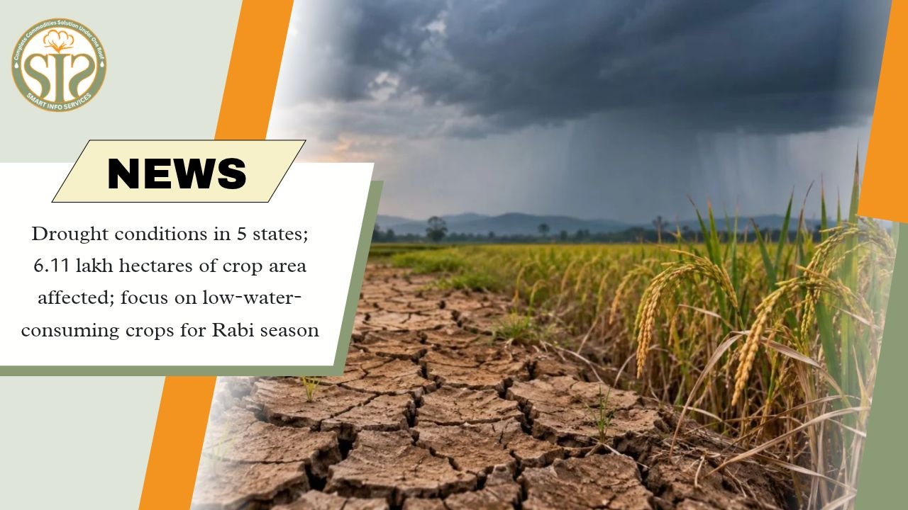 Drought Hits Five States, Rabi Focus Shifts
