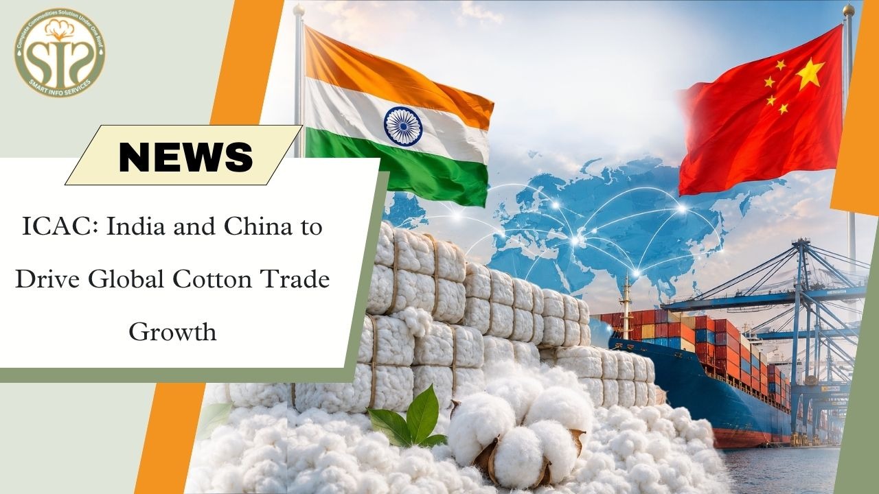 India, China to Drive Cotton Trade