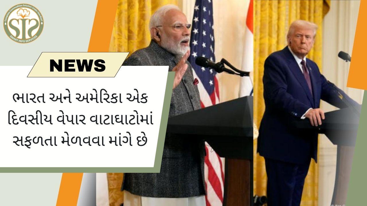 ભારત-અમેરિકા વેપાર વાટાઘાટોમાં સફળતાની શોધમાં