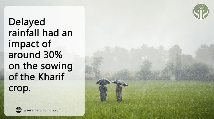 Delayed rains impact kharif sowing operations by about 30%