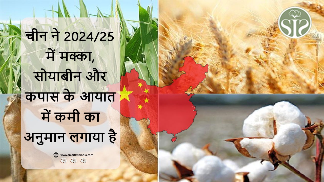 चीन ने 2024/25 में मक्का, सोयाबीन और कपास के आयात में कमी का अनुमान लगाया है