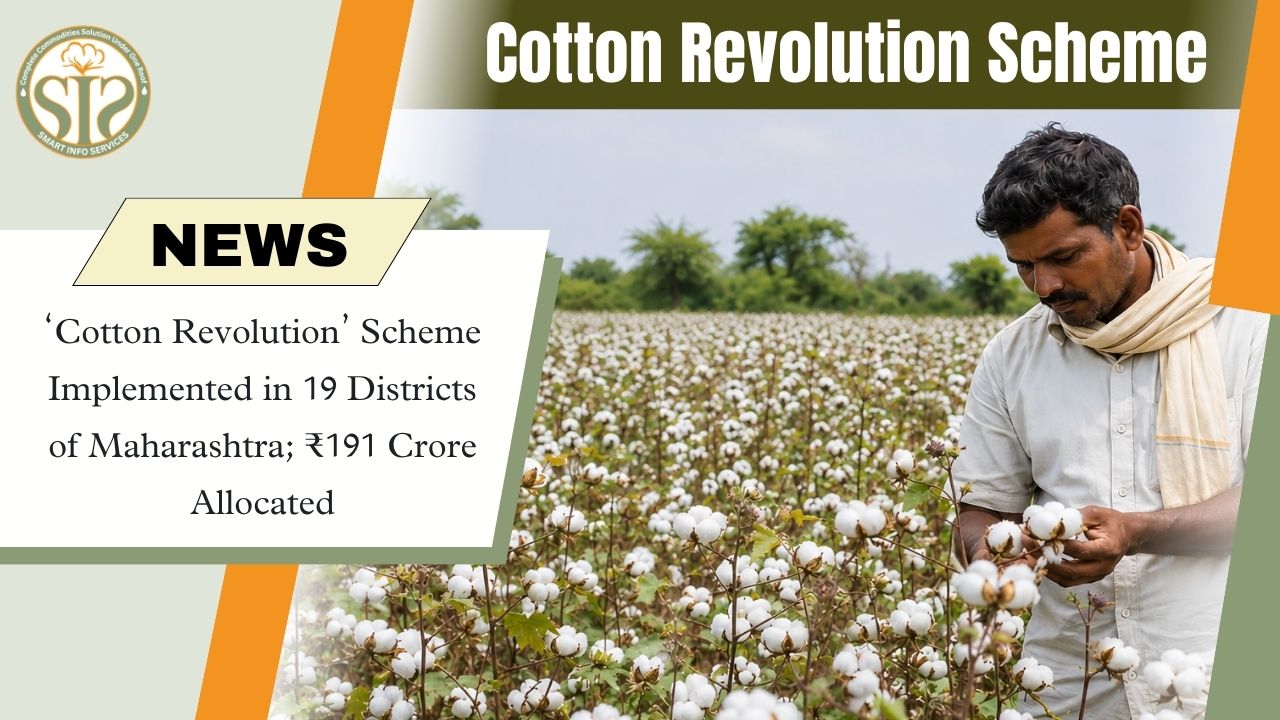 Maharashtra Launches Cotton Revolution Scheme in 19 Districts