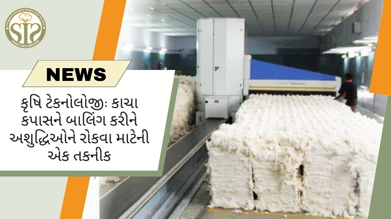 કૃષિ ટેકનોલોજી: કાચા કપાસને બાલિંગ કરીને અશુદ્ધિઓને રોકવા માટેની એક તકનીક