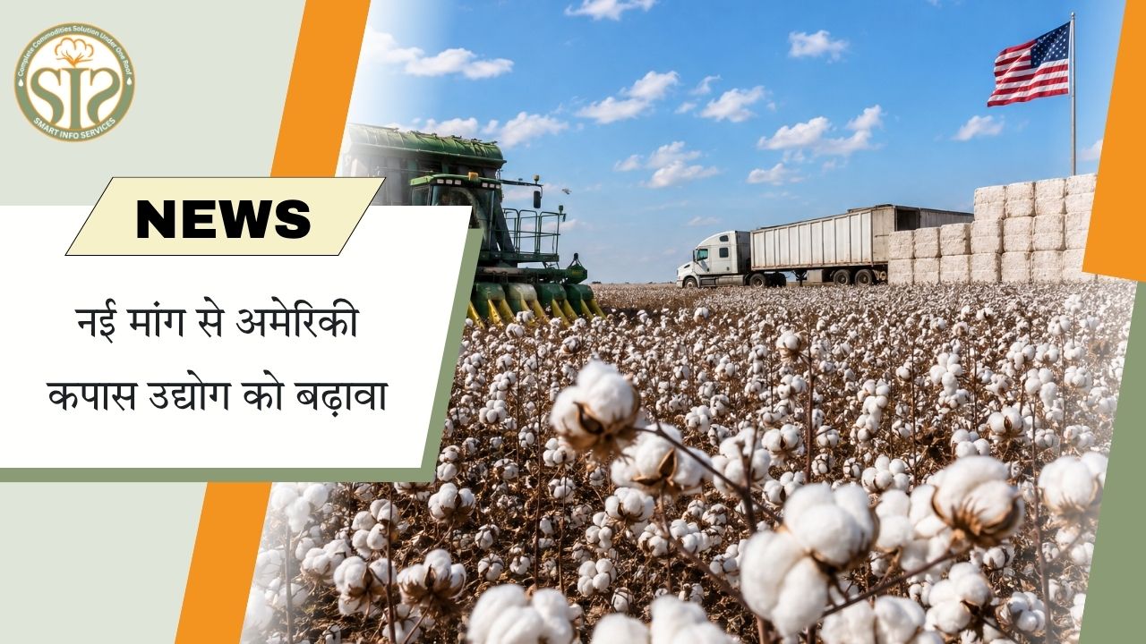 अमेरिकी कपास उद्योग में नई मांग की तलाश