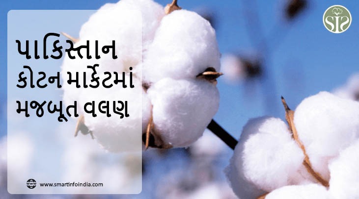 પાકિસ્તાન: કોટન માર્કેટમાં મજબૂતી