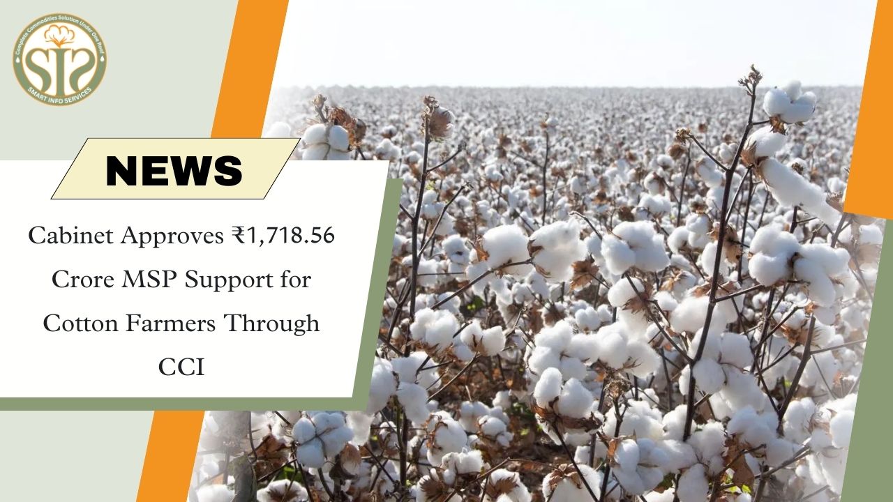 MSP Support of ₹1,718.56 Crore for Cotton Farmers