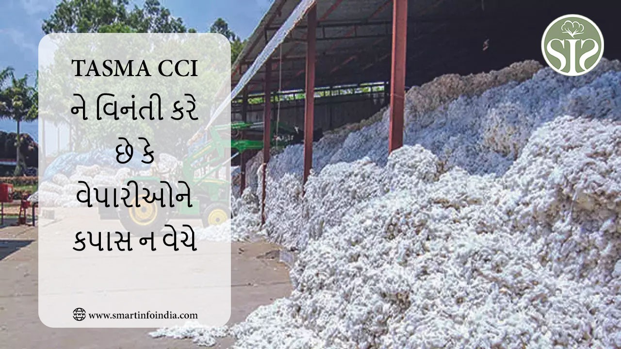 TASMA CCI ને વિનંતી કરે છે કે વેપારીઓને કપાસ ન વેચે