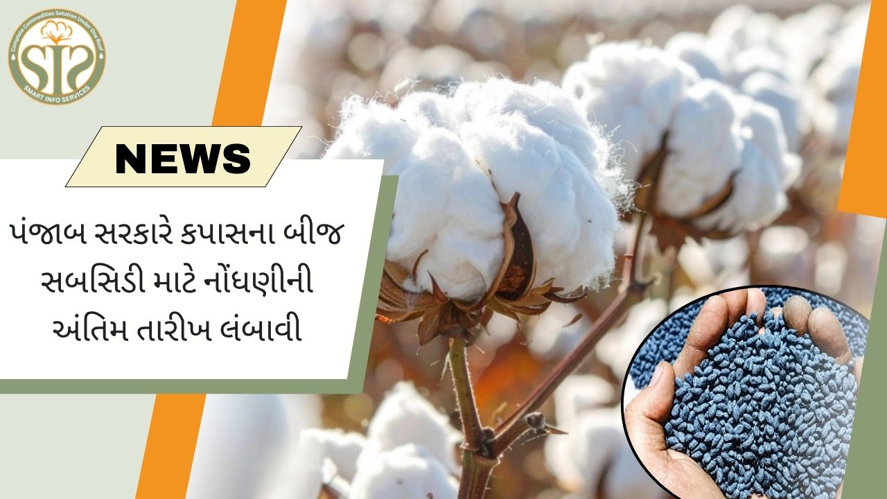 પંજાબે કપાસ બીજ સબસિડી નોંધણીની સમયમર્યાદા 15 દિવસ વધારી