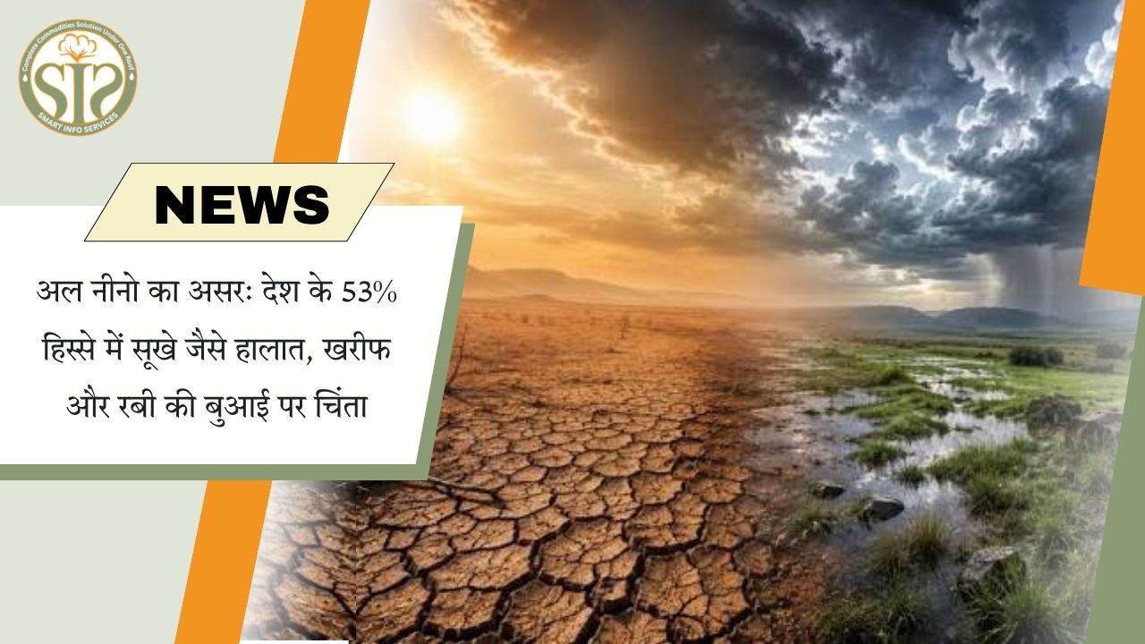भारत के 53% हिस्से में सूखे जैसे हालात