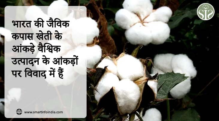भारत की जैविक कपास खेती के आंकड़े वैश्विक उत्पादन के आंकड़ों पर विवाद में हैं