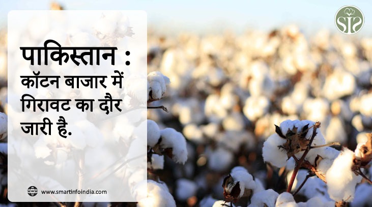 पाकिस्तान : कॉटन बाजार में गिरावट का दौर जारी.