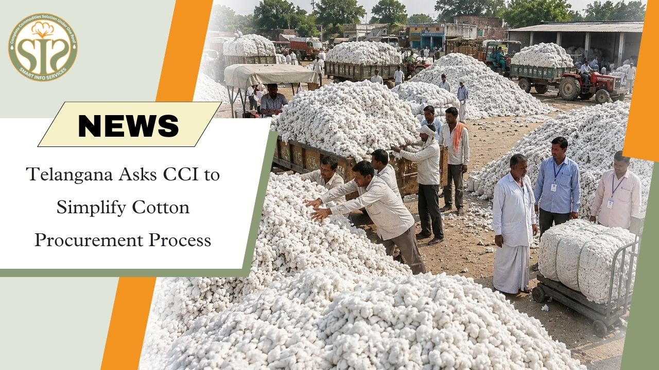 Telangana Seeks Easier CCI Cotton Procurement