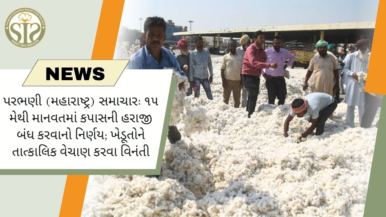 પરભણી (મહારાષ્ટ્ર) સમાચાર: માનવતમાં કપાસની હરાજી 15 મેથી સ્થગિત; ખેડૂતોને ઝડપથી વેચવા વિનંતી.