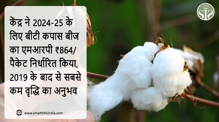 केंद्र ने 2024-25 के लिए बीटी कपास बीज का एमआरपी ₹864/पैकेट निर्धारित किया, 2019 के बाद से सबसे कम वृद्धि का अनुभव