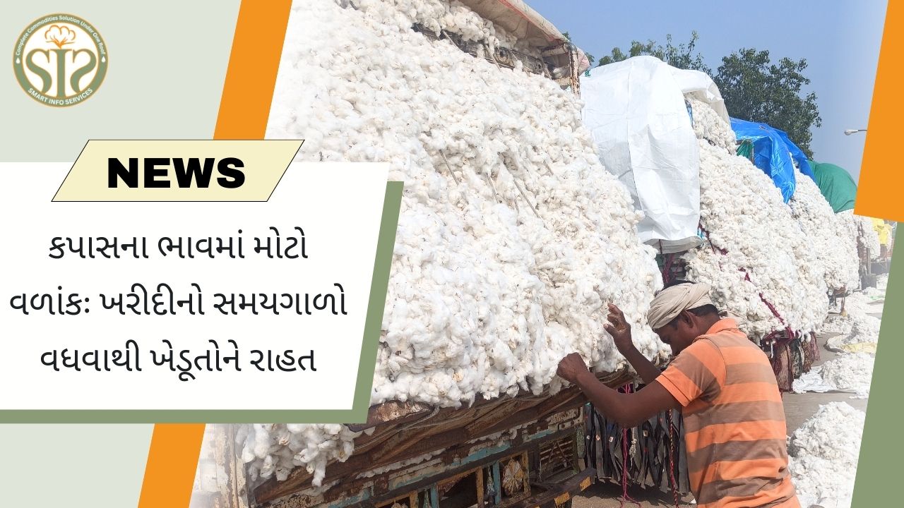 કપાસની ખરીદીની મુદત લંબાવી, ખેડૂતોને રાહત