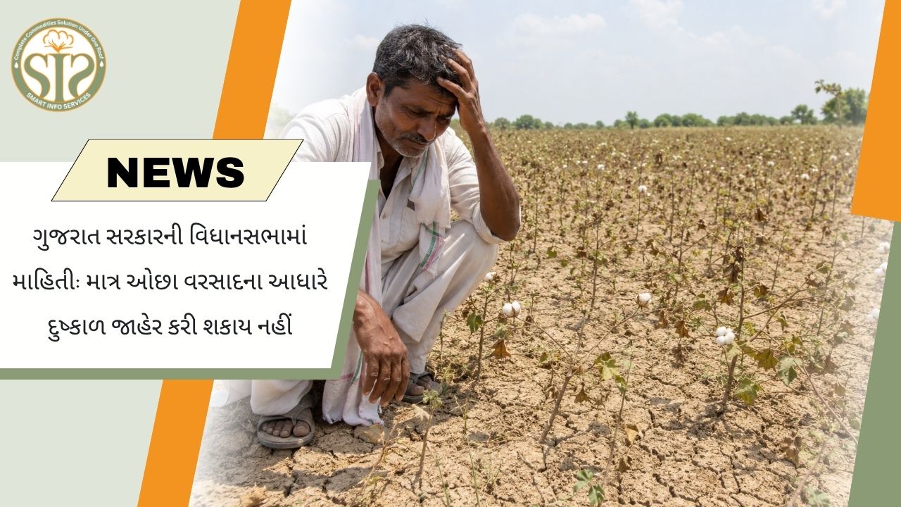ગુજરાતમાં વરસાદની અછતથી જ દુષ્કાળ જાહેર નહીં થાય