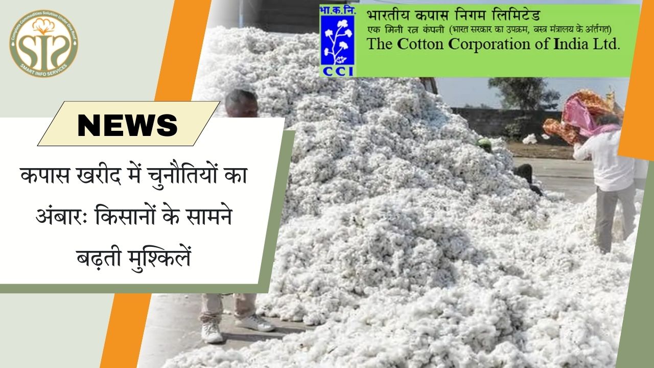 कपास खरीद में संकट: किसानों के सामने बढ़ती मुश्किलें