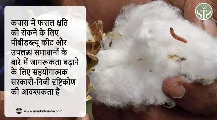कपास में फसल क्षति को रोकने के लिए पीबीडब्ल्यू कीट और उपलब्ध समाधानों के बारे में जागरूकता बढ़ाने के लिए सहयोगात्मक सरकारी-निजी दृष्टिकोण की आवश्यकता है