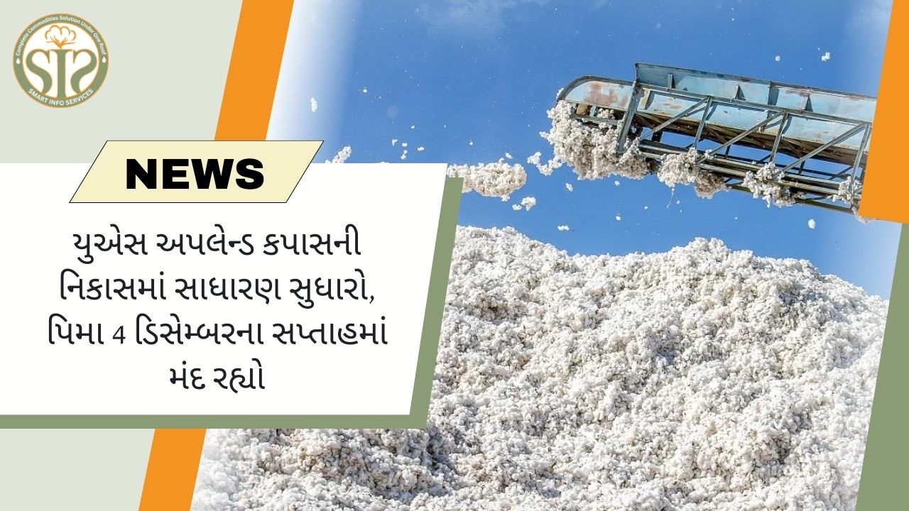 યુએસ અપલેન્ડ કપાસની નિકાસમાં સાધારણ સુધારો, પિમા 4 ડિસેમ્બરના સપ્તાહમાં મંદ રહ્યો