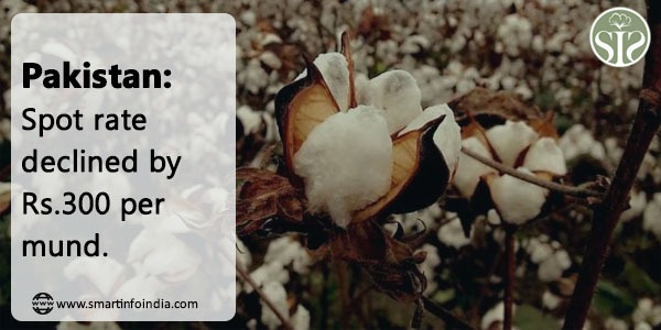 Pakistan: Spot rate declined by Rs.300 per mind.