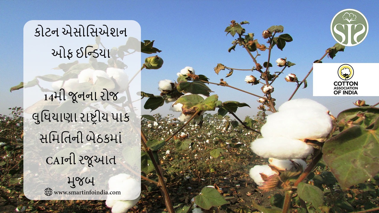 કોટન એસોસિએશન ઓફ ઈન્ડિયા