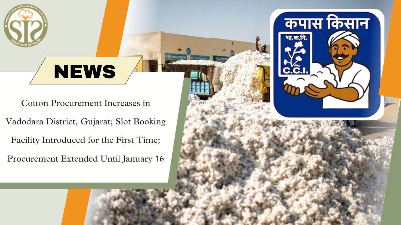 Increase in cotton procurement, deadline extended to January 16.