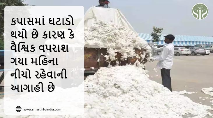 વિશ્વમાં કપાસનો વપરાશ ગયા મહિના કરતાં ઓછો હોવાનો અંદાજ છે, જેના કારણે કપાસમાં ઘટાડો થયો છે