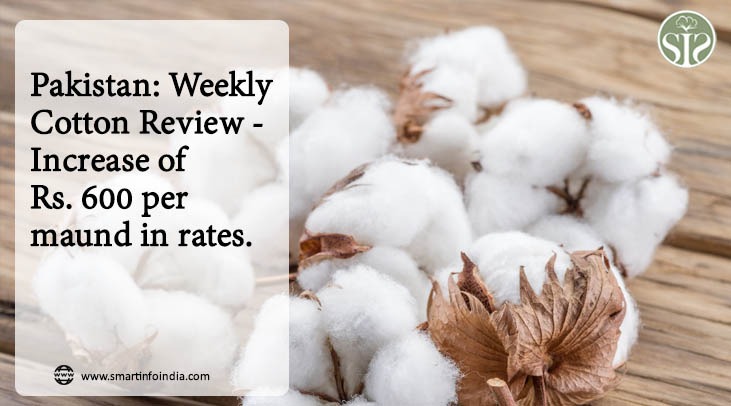 Pakistan: Weekly Cotton Review: Rate hiked by Rs 600 per head
