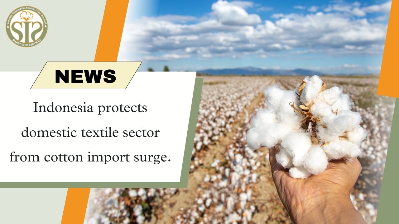 Indonesia's move: Cotton imports provide relief to the textile industry.