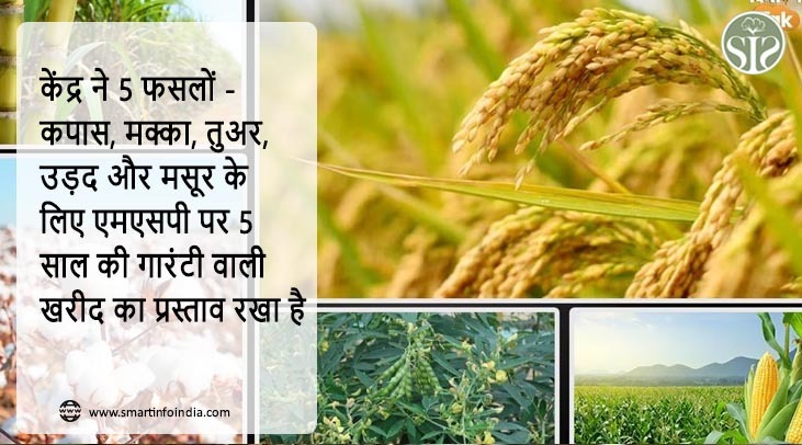 केंद्र ने 5 फसलों - कपास, मक्का, तुअर, उड़द और मसूर के लिए एमएसपी पर 5 साल की गारंटी वाली खरीद का प्रस्ताव रखा है