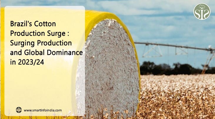 Brazil's cotton production growth: increasing production and global dominance in 2023/24