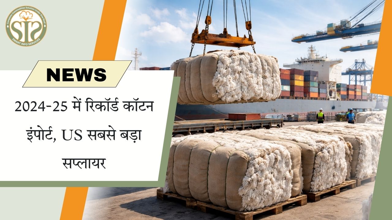 2024-25 में रिकॉर्ड कपास आयात, अमेरिका शीर्ष सप्लायर
