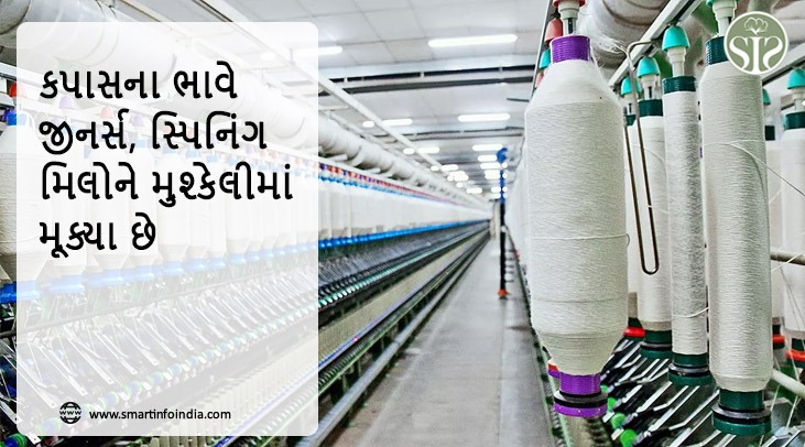 કપાસના ભાવે જીનર્સ, સ્પિનિંગ મિલોને મુશ્કેલીમાં મૂક્યા છે.