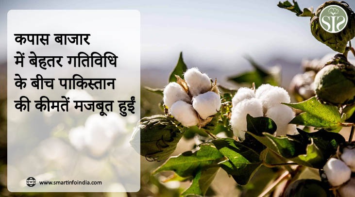 कपास बाजार में बेहतर गतिविधि के बीच पाकिस्तान की कीमतें मजबूत हुईं
