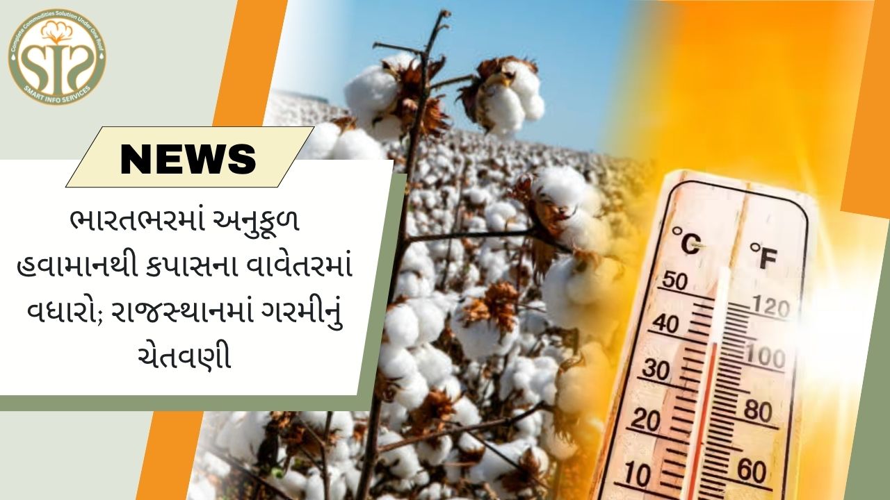 રાજસ્થાનમાં સાનુકૂળ હવામાન, હીટ વેવ એલર્ટના કારણે કપાસની વાવણી તીવ્ર બની છે