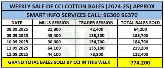 CCI એ ઈ-બિડિંગ દ્વારા 85% કપાસનું વેચાણ કર્યું, સાપ્તાહિક વેચાણ 7.74 લાખ ગાંસડી