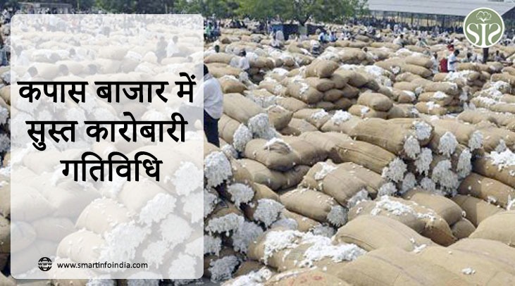 Sluggish trading activity in the cotton market