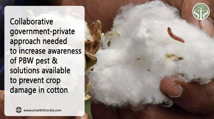 Collaborative government-private approach needed to increase awareness of PBW pest & solutions available to prevent crop damage in cotton