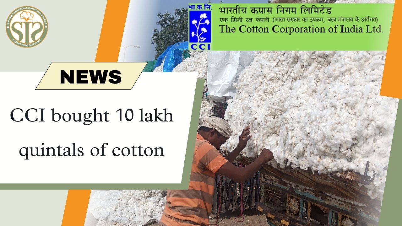 CCI: Cotton purchase figure reached 10 lakh quintals