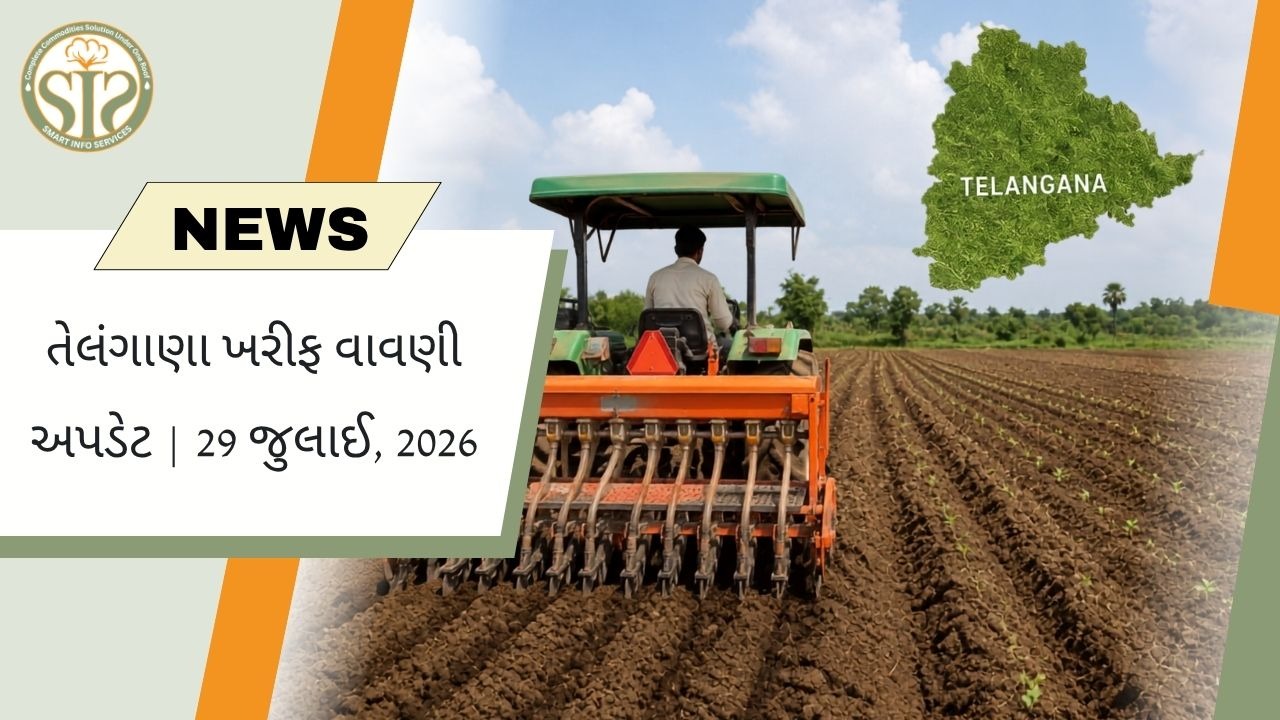 તેલંગાણામાં ખરીફ વાવેતર અંતિમ તબક્કે, કપાસનું વાવેતર 46.34 લાખ એકર સુધી પહોંચ્યું