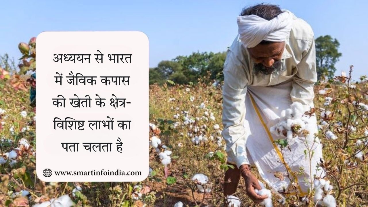 अध्ययन से भारत में जैविक कपास की खेती के क्षेत्र-विशिष्ट लाभों का पता चलता है