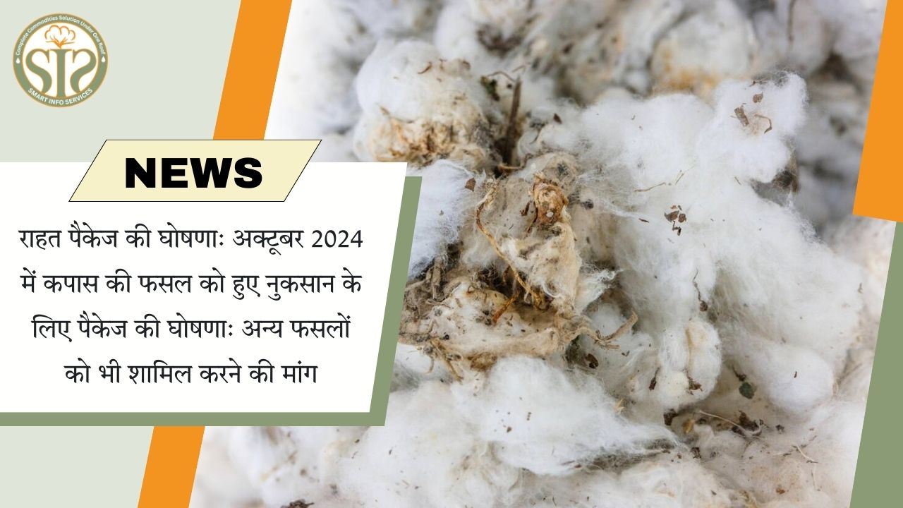 अक्टूबर 2024 फसल नुकसान: कपास राहत पैकेज घोषित, अन्य फसलों की मांग